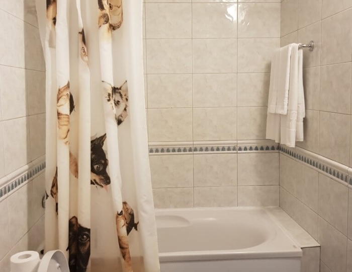 Стандарт+ 2-мест Твин мансард МИНИ-СИТИ - Отель «Прометей Клуб»