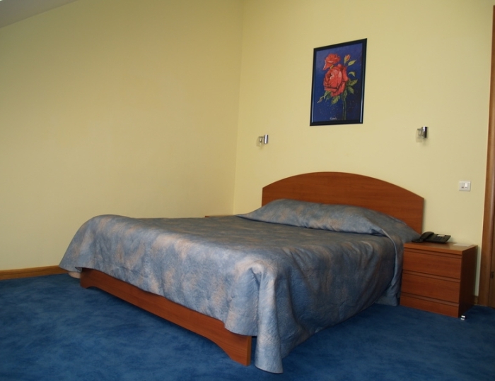 Стандарт+ 2-местный 1-комнатный  в Коттедже с французской кроватью, мансардный  без балкона - Отель «Прометей Клуб»