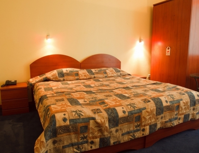 Стандарт+ 2-местный 1-комнатный  в Коттедже с французской кроватью, мансардный  без балкона - Отель «Прометей Клуб»