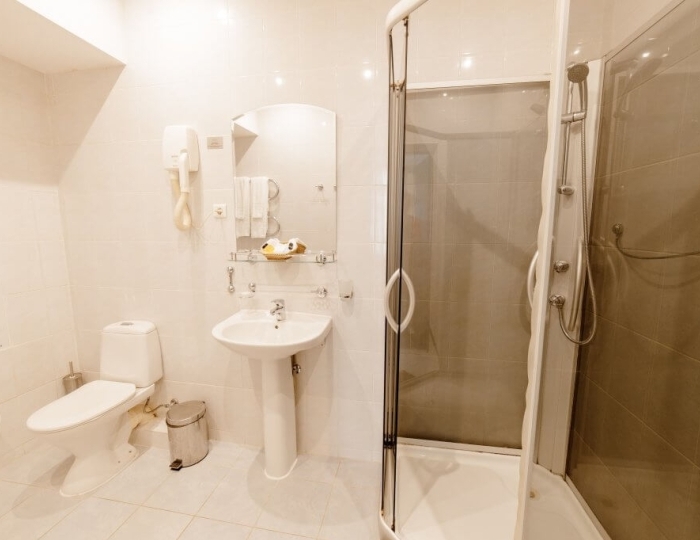 Стандарт+ 2-местный 1-комнатный  в Коттедже с французской кроватью, мансардный  без балкона - Отель «Прометей Клуб»