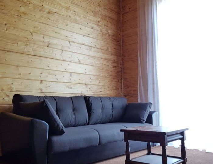 Сьют 2-местный 1 комнатный мансардный в коттеджах NEW - Отель «Прометей Клуб»